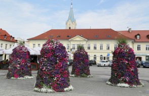 wieże kwiatowe terra Oświęcim (2) (Large)