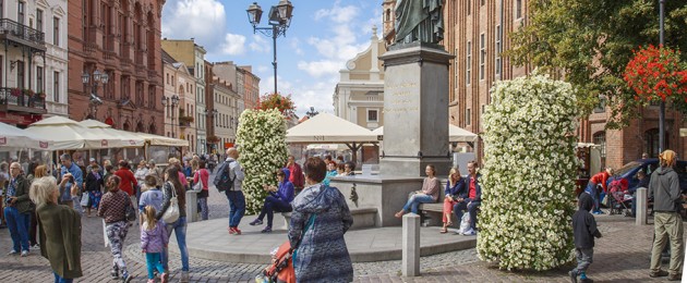 W mieście Kopernika, starówki i pierników