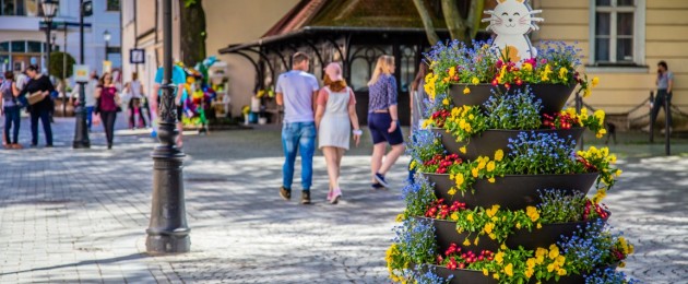 Alle Farben des Frühlings in Zielona Góra