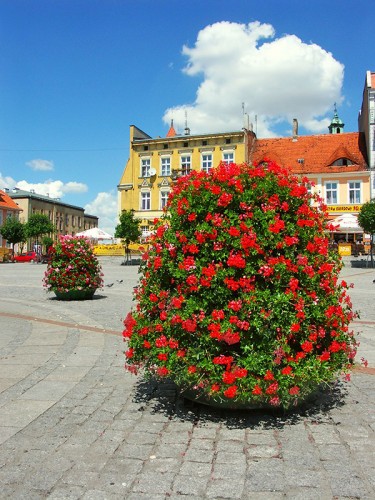 Gniezno