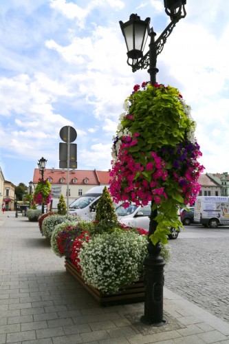 wieże kwiatowe terra Oświęcim (6) (Large)